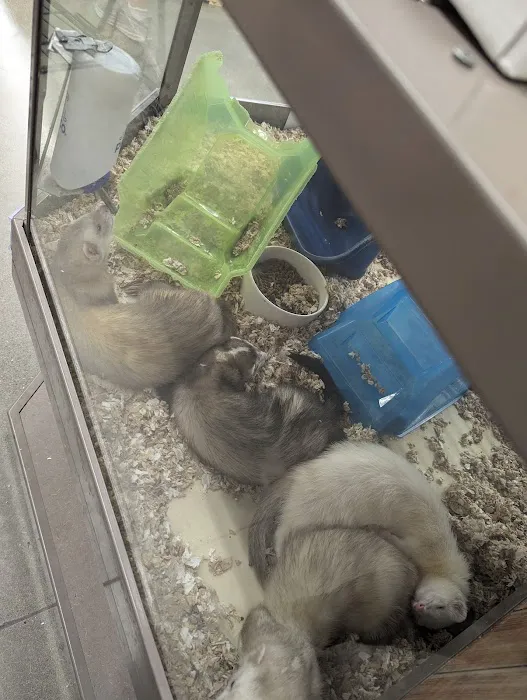 Petco Picture 7
