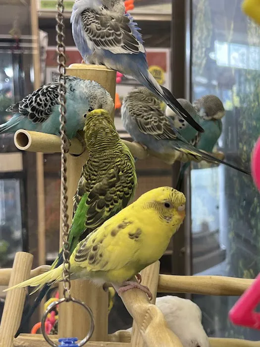 Petco Picture 10