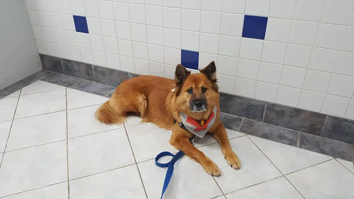 Woodworth Animal Hospital Picture 4