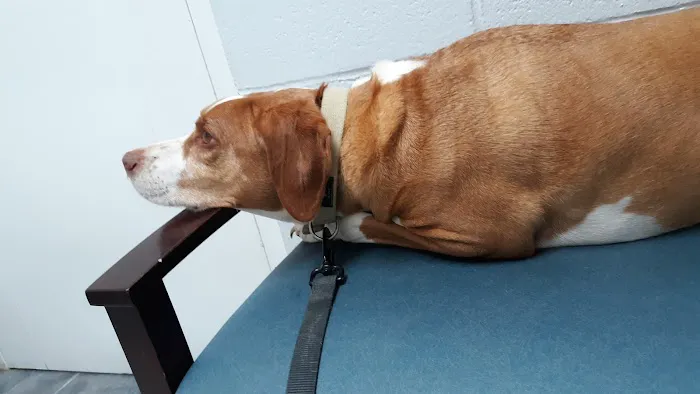 Woodworth Animal Hospital Picture 2