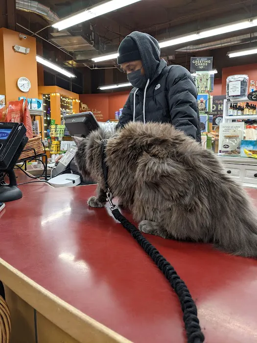 All The Best Pet Care - Columbia City Picture 3