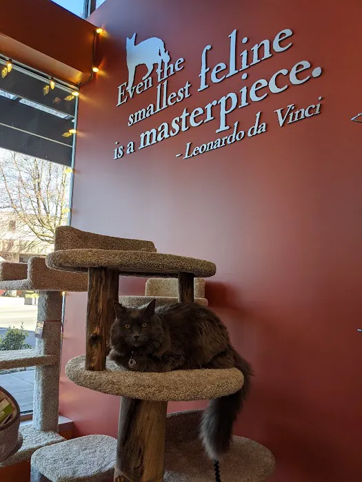 All The Best Pet Care - Columbia City Picture 2