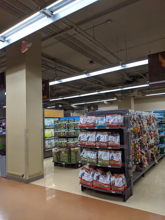 Petco Picture 8