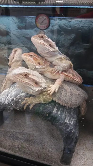 Petco Picture 7