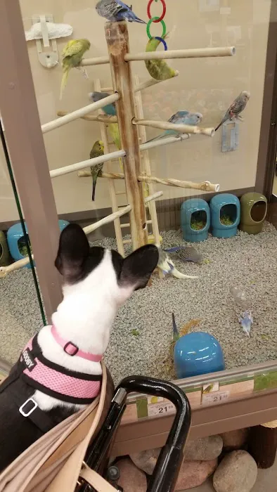 Petco Picture 4