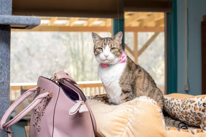 Valley Veterinary Service Picture 6