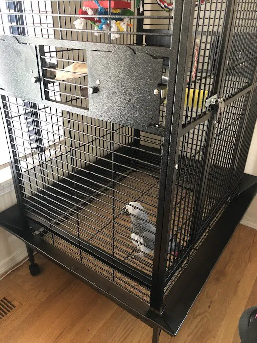 Denise's Parrot Place Picture 5