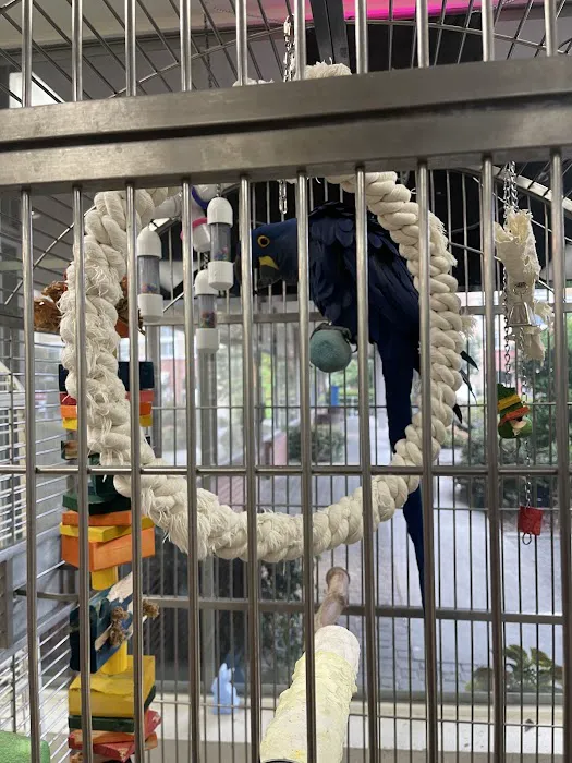 Denise's Parrot Place Picture 2