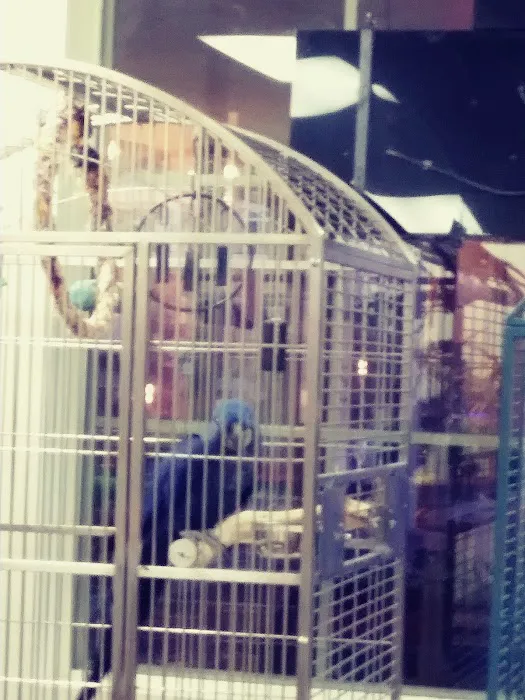 Denise's Parrot Place Picture 1