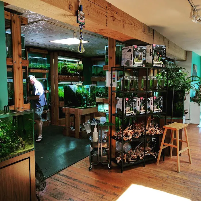 Aquarium Zen, LLC Picture 10