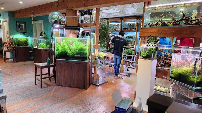 Aquarium Zen, LLC Picture 1