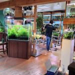 Aquarium Zen, LLC