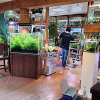 Aquarium Zen, LLC ico