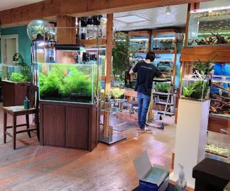 Aquarium Zen, LLC