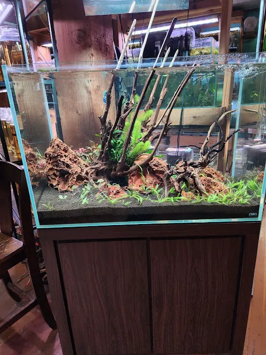 Aquarium Zen, LLC Picture 6