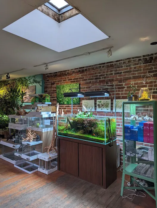 Aquarium Zen, LLC Picture 5