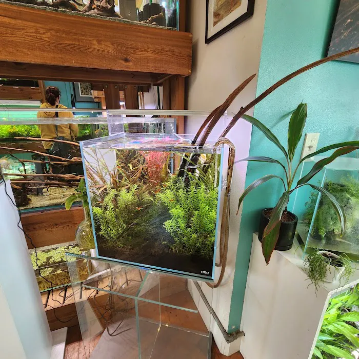 Aquarium Zen, LLC Picture 4
