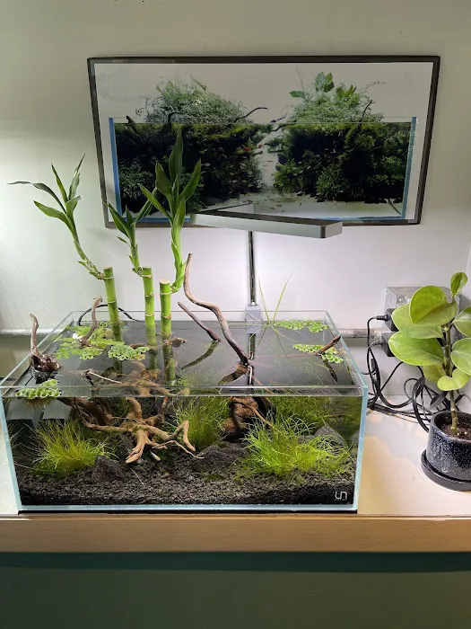Aquarium Zen, LLC Picture 9