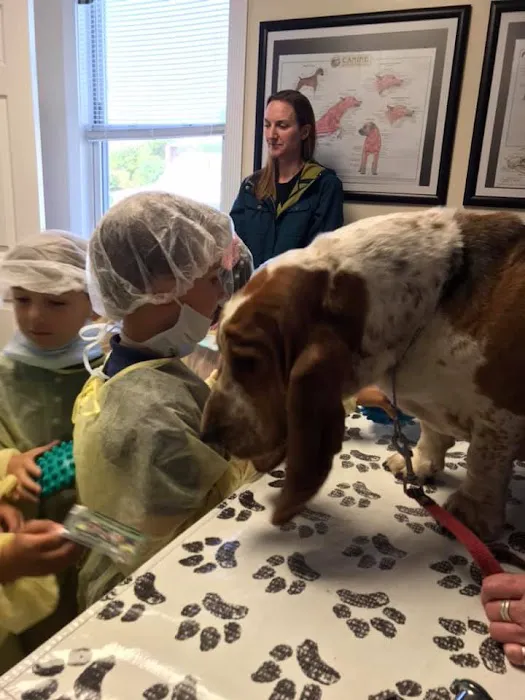 Riverside Veterinary Hospital Picture 10