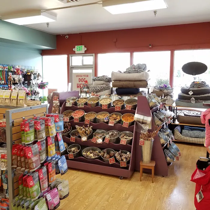 All The Best Pet Care - Mercer Island Picture 3