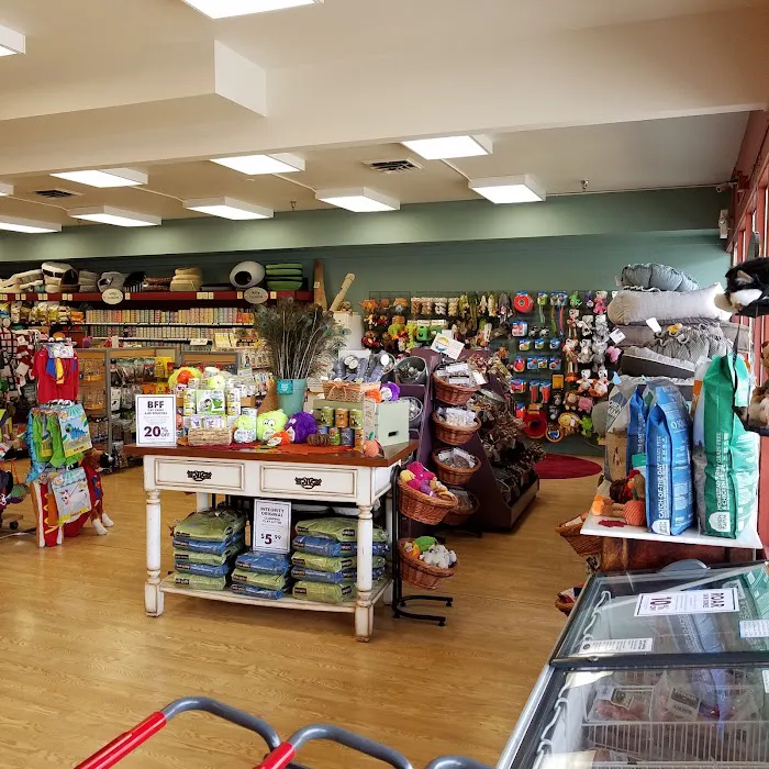 All The Best Pet Care - Mercer Island Picture 7