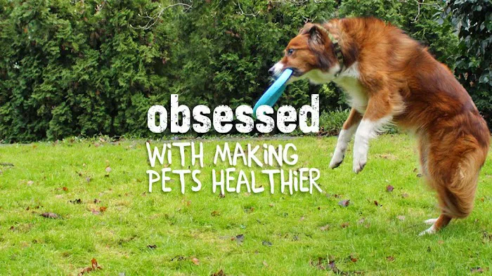 All The Best Pet Care - Mercer Island Picture 6