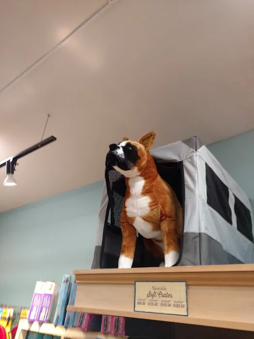 All The Best Pet Care - Lake City Picture 1