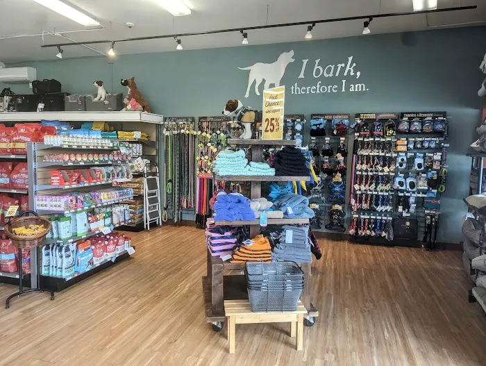 All The Best Pet Care - Lake City Picture 7