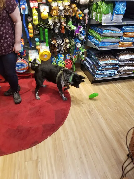All The Best Pet Care - Lake City Picture 4