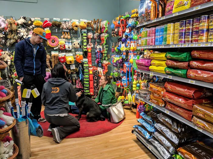 All The Best Pet Care - Lake City Picture 8