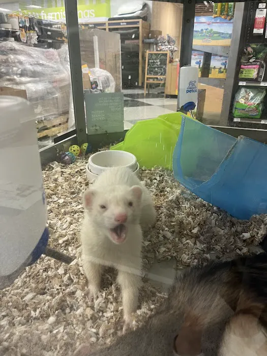 Petco Picture 5