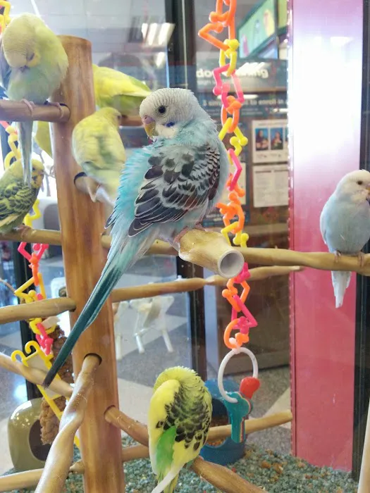 Petco Picture 7