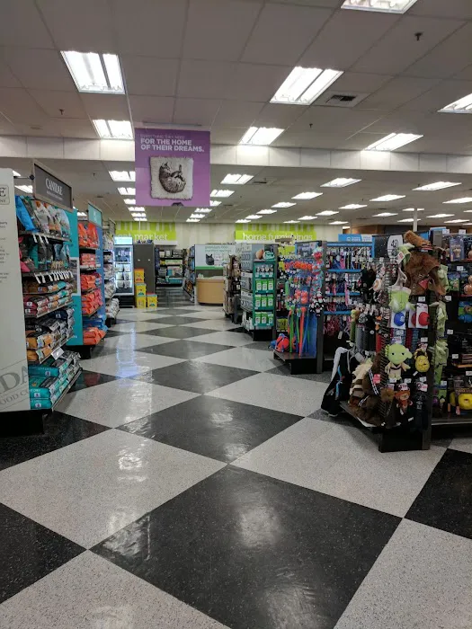 Petco Picture 8