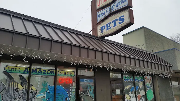 Little Amazon Fish & Pet Picture 1