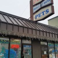 Little Amazon Fish & Pet ico