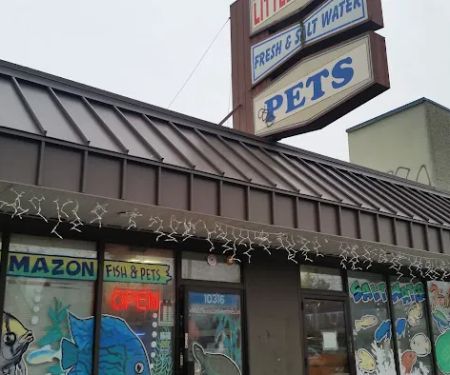 Little Amazon Fish & Pet
