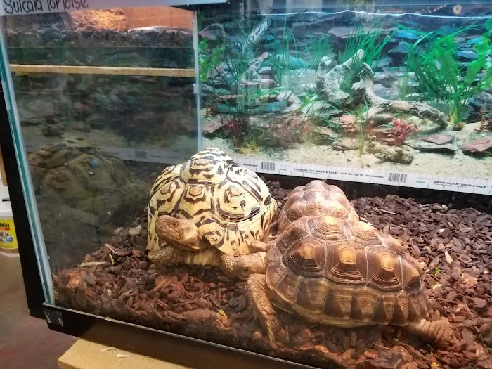 Little Amazon Fish & Pet Picture 4