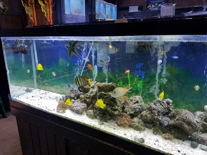 Little Amazon Fish & Pet Picture 6