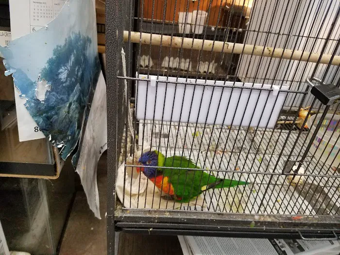 Little Amazon Fish & Pet Picture 8