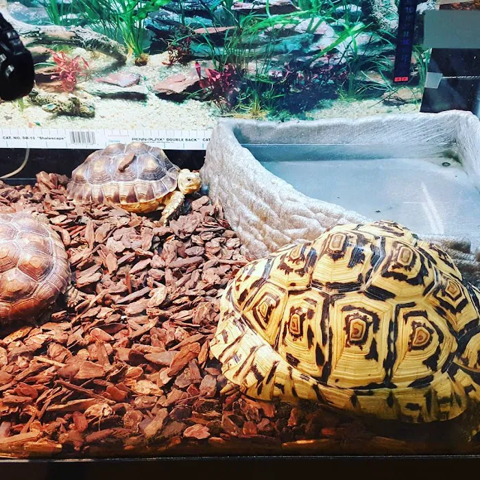 Little Amazon Fish & Pet Picture 10