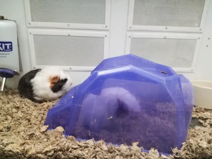 Petco Picture 3