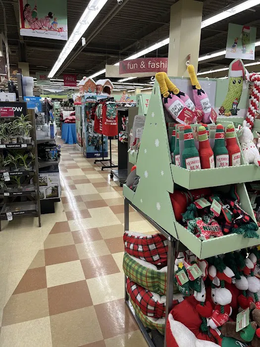Petco Picture 6