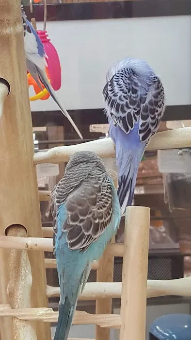 Petco Picture 1