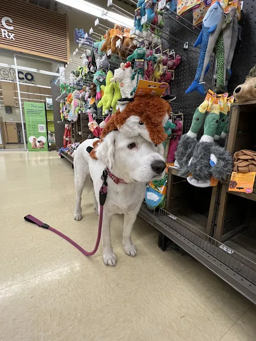 Petco Picture 5