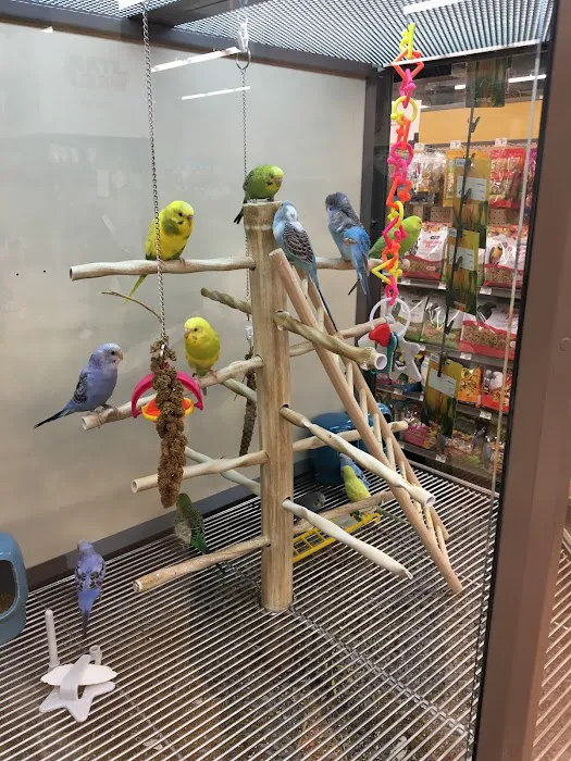Petco Picture 8