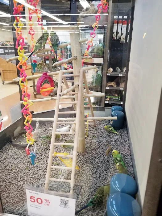 Petco Picture 7