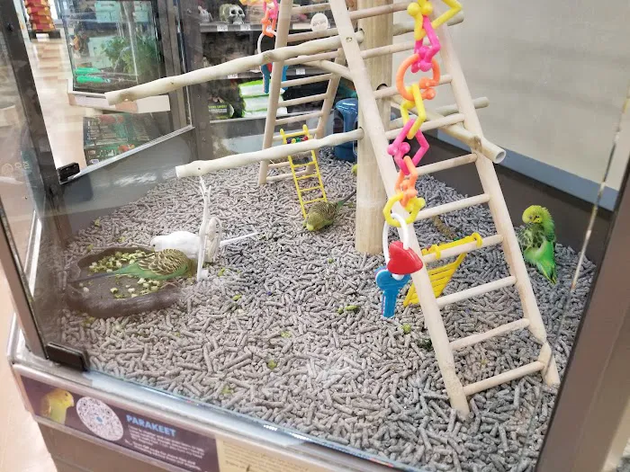Petco Picture 9