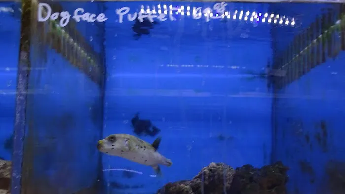 The Fish Store Picture 10