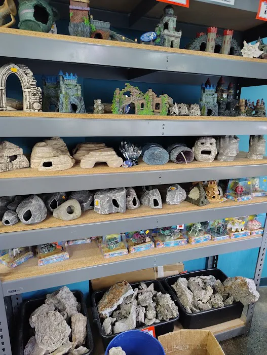 The Fish Store Picture 5