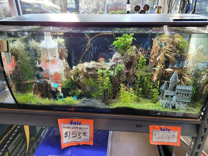 The Fish Store Picture 2